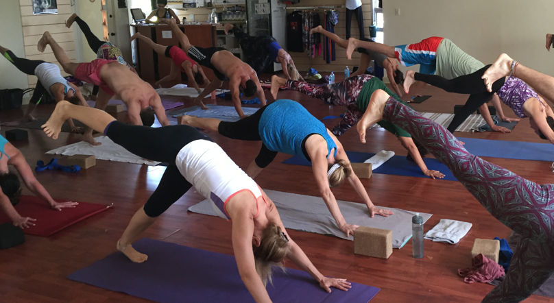 yoga teacher training